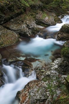 the flow of water in the creek in the woods in Autumn