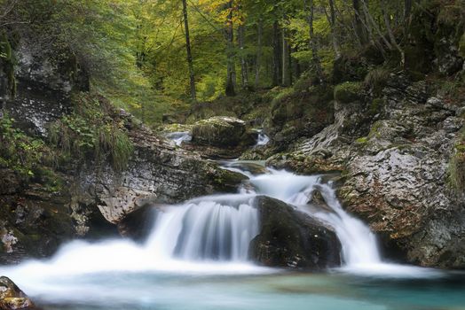 the flow of water in the creek in the woods in Autumn