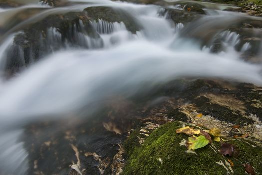 the flow of water in the creek in the woods in Autumn