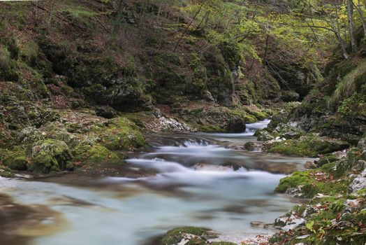 the flow of water in the creek in the woods in Autumn