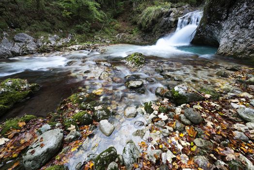 the flow of water in the creek in the woods in Autumn