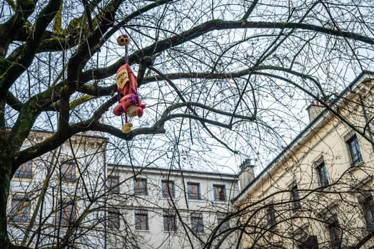 A cuddly toy that is really lost and hanged in a tree