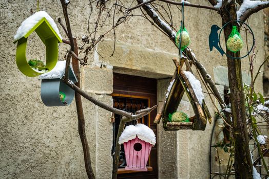 Food and nesting box for birds in the winter