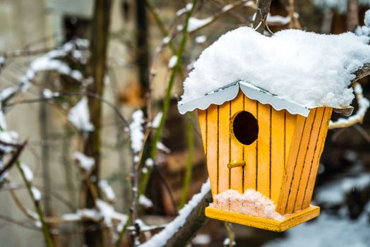 Yellow nesting box in the snow in the winter