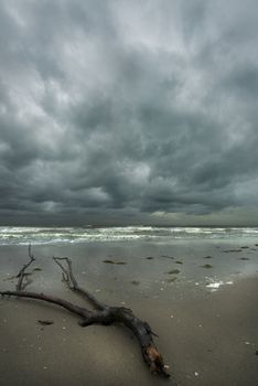 the storm on the beach in winter