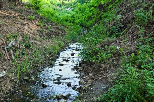 Small mountain water stream, flowing through woods