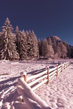 winter landscape with a snow-covered fence
