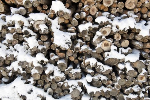 a pile of firewood covered by snow