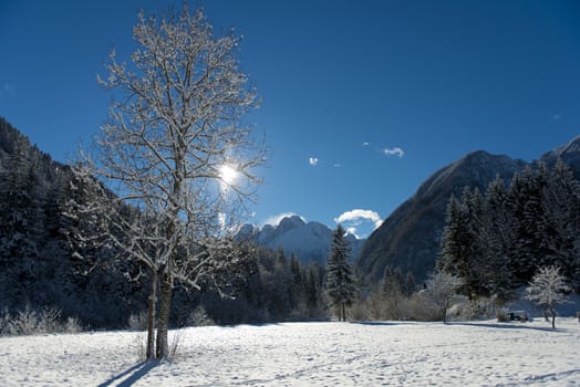 a snow-covered landscape in an alpine valley