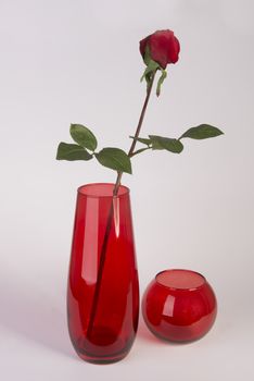 Red rose in a red pot