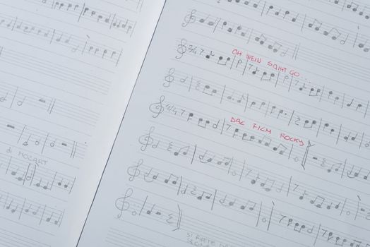 pages of the musical score hand written