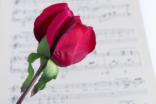 pages of the musical score with a red rose