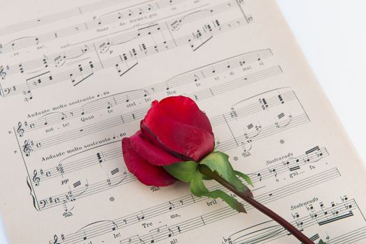 pages of the musical score with a red rose