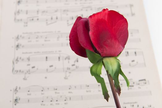 pages of the musical score with a red rose