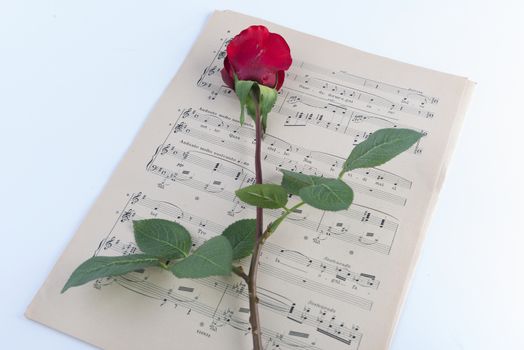 pages of the musical score with a red rose