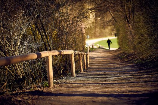 lonely way in the english garden in munich