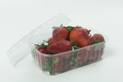 strawberries in a plastic pan