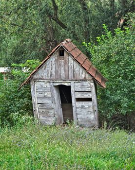 Small abandoned wooden cabin surrounded by trees