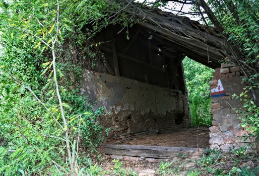 Abandoned barn surrounded by bunch of plants and trees