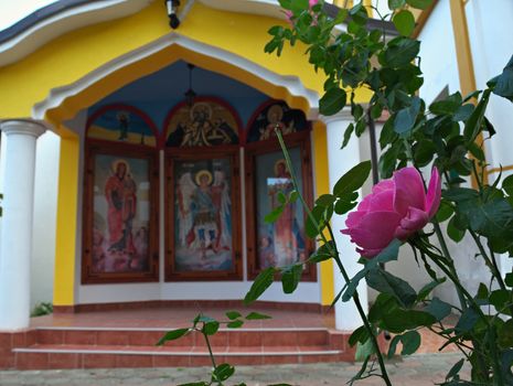 Pink rose in front of small open chapel in monastery