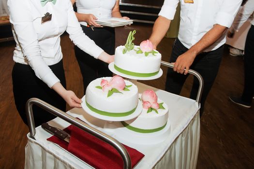 elegant pretty young bride and groom cut the wedding cake.