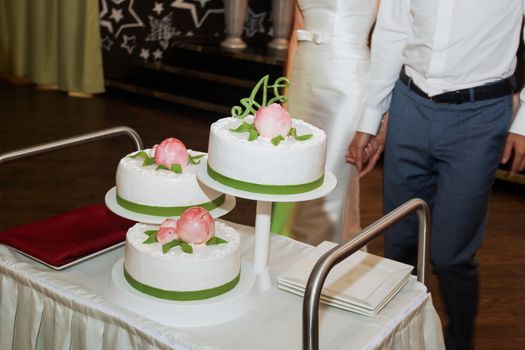 elegant pretty young bride and groom cut the wedding cake.