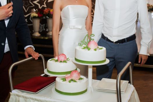 elegant pretty young bride and groom cut the wedding cake.