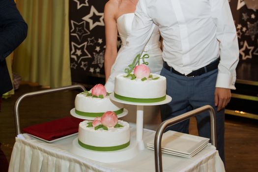 elegant pretty young bride and groom cut the wedding cake.