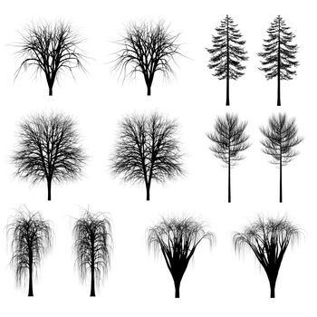 Set of silhouettes of trees, 2d illustration
