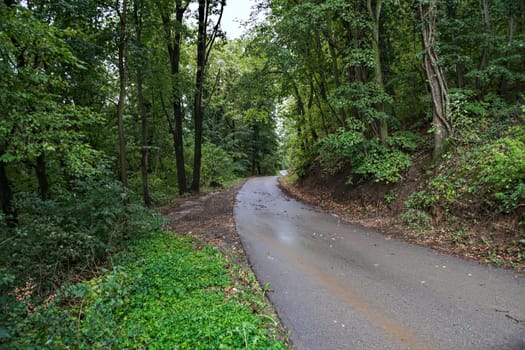 Empty mountain road wet after rain, late summer