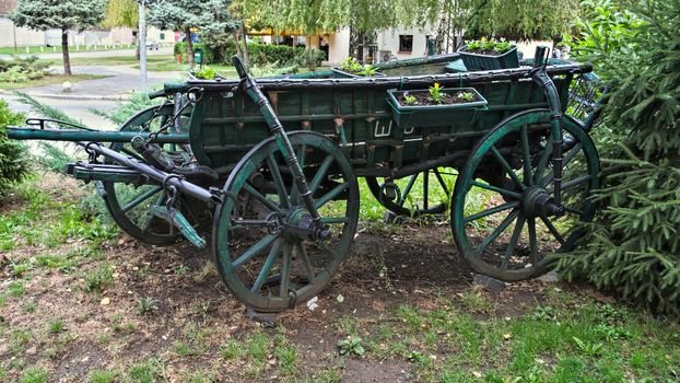 Old wooden horse carriage, decorated with flowerpots