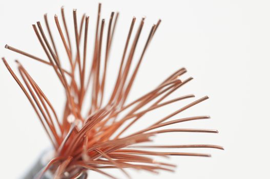 copper wires of an electric cable