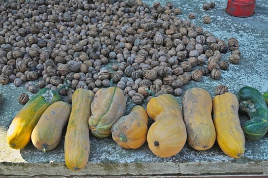 Autumn harvest of pumpkins and walnuts