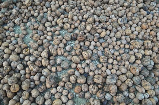 Abundance of walnuts on one pile, close up