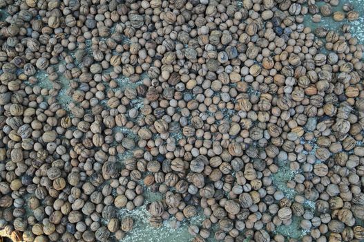 Abundance of walnuts on one pile, close up