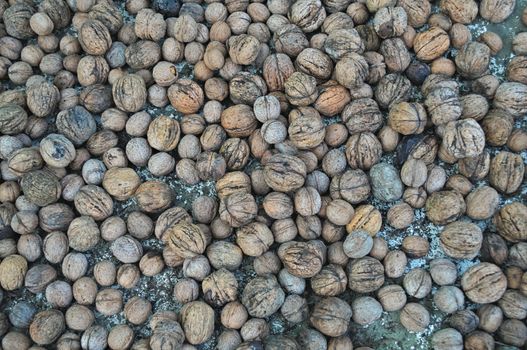 Abundance of walnuts on one pile, close up