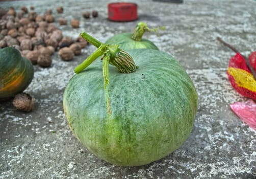 Still green pumpkin, early harvested