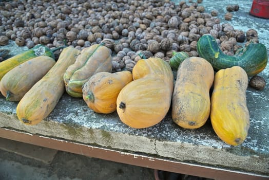 Autumn harvest of pumpkins and walnuts