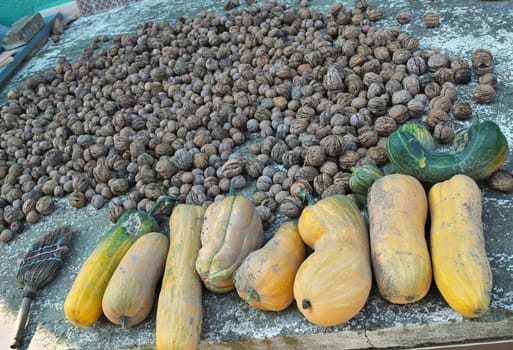 Autumn harvest of pumpkins and walnuts