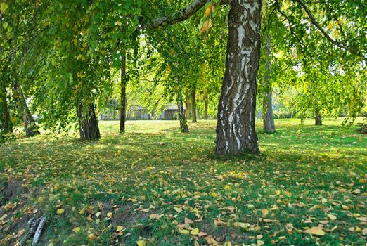 View at park in early autumn