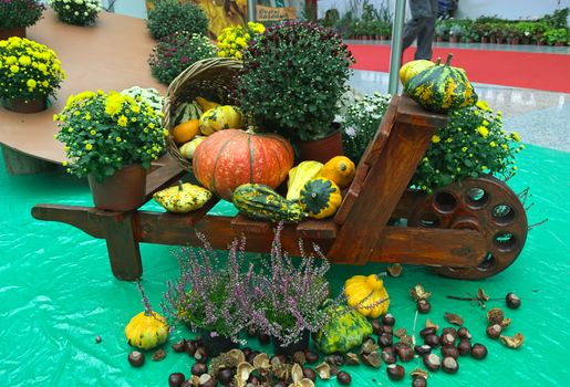 Autumn fruits and vegetables made out of plastic