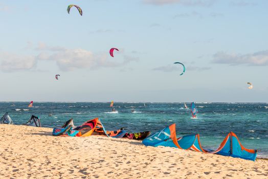 The group of kitesurfing on the beach at Mauritius Island.