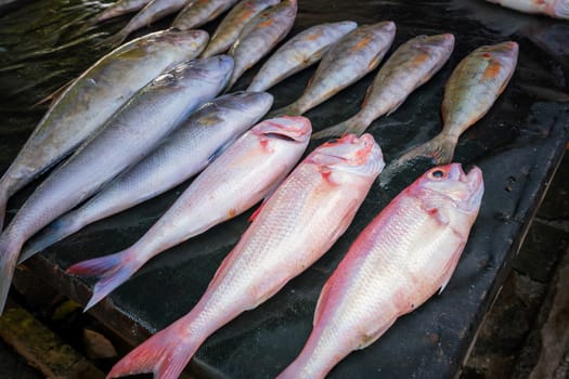 Fresh tropical fish in the market,Mauritius island.