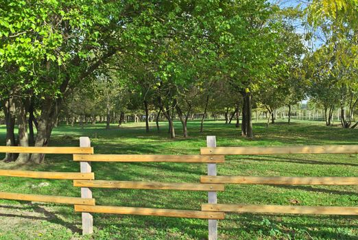 View at park and wooden fence at early autumn