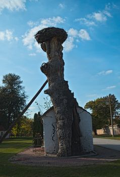 Small cottage beside old tree with stork nest