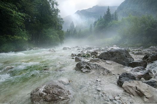 the rushing flow of water in a mountain stream