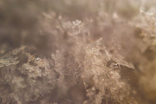 snowflake close-up snow macro photo winter magic