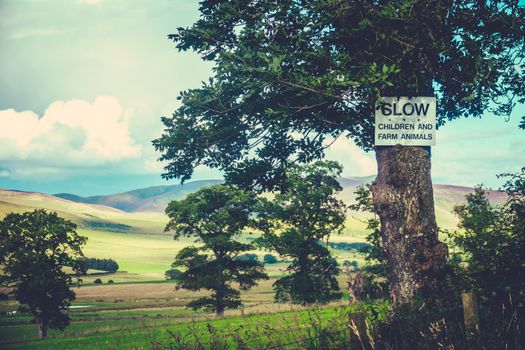 Rustic Slow Sign Nailed To A Tree In The Scottish Countryside