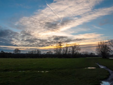 open plain grassland field trees sunset cloudy blue sky landscape; essex; england; uk