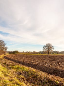 brown ploughed agricultural field outside farm landscape sky ground dirt tree; essex; england; uk